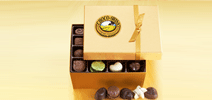 Chocolates for Corporate Gifting.
